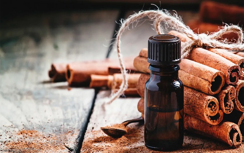 The many benefits of cinnamon bark oil